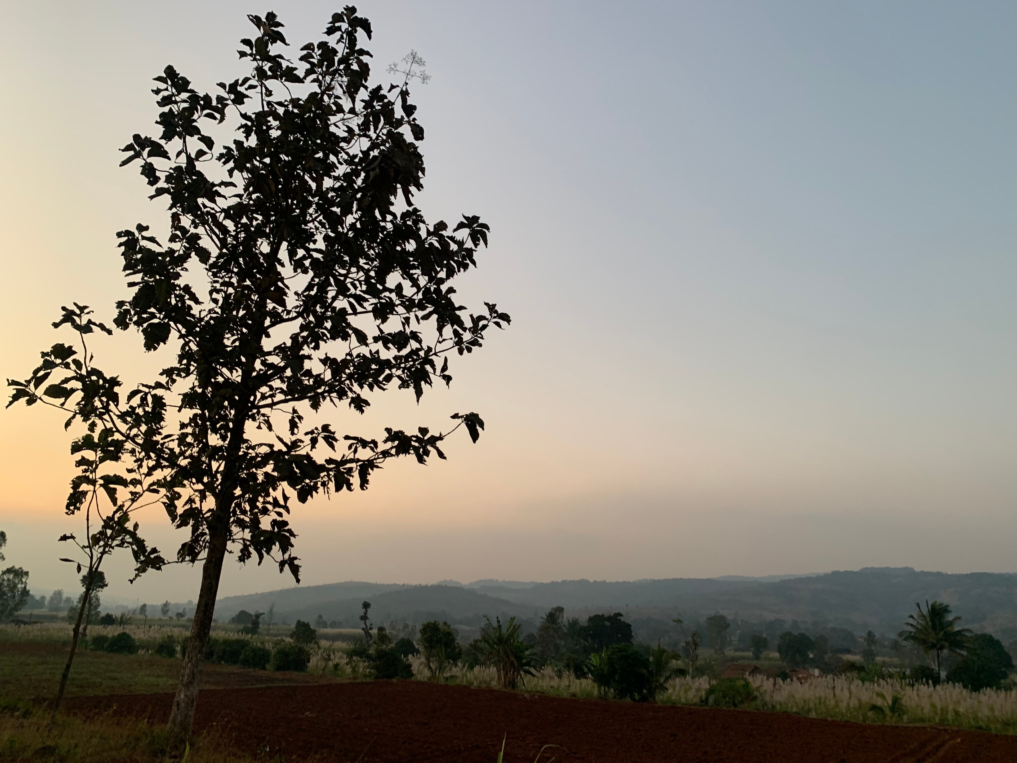 Golden sunset over Anvik Farms fields
